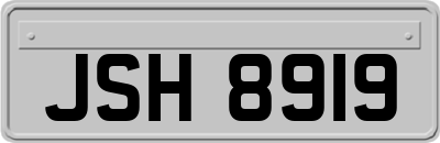 JSH8919