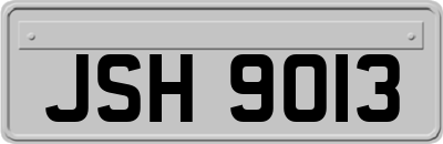 JSH9013