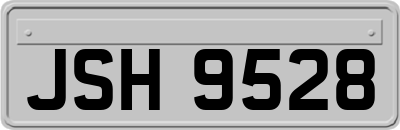 JSH9528