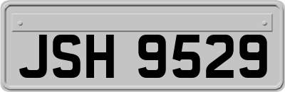 JSH9529