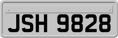 JSH9828