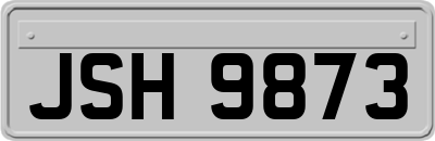 JSH9873