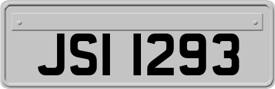 JSI1293