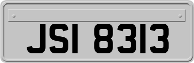 JSI8313