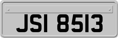 JSI8513
