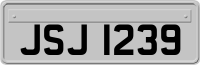 JSJ1239