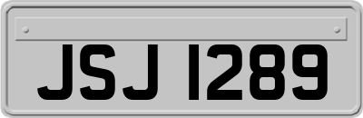 JSJ1289