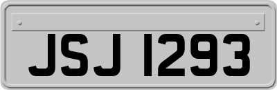 JSJ1293