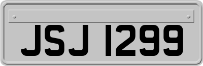 JSJ1299