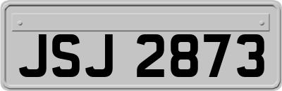JSJ2873