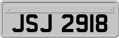 JSJ2918