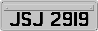 JSJ2919