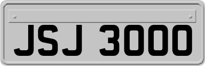 JSJ3000