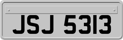 JSJ5313