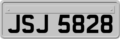 JSJ5828
