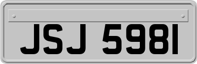 JSJ5981