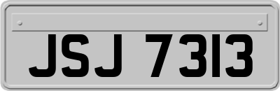 JSJ7313