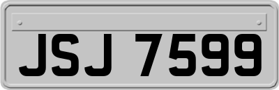 JSJ7599