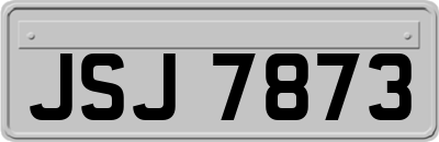 JSJ7873