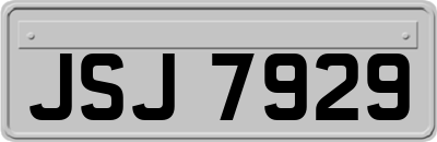 JSJ7929
