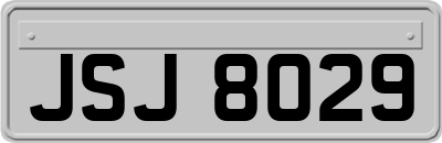 JSJ8029