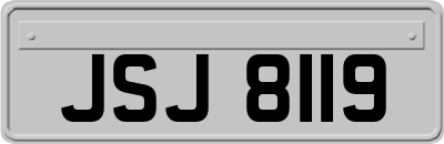 JSJ8119