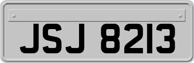 JSJ8213
