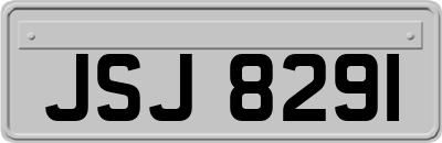 JSJ8291