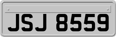 JSJ8559