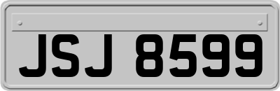 JSJ8599