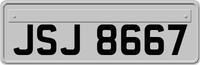 JSJ8667