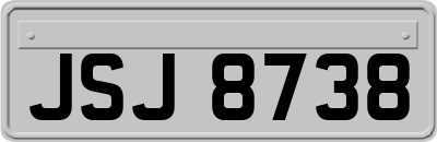 JSJ8738