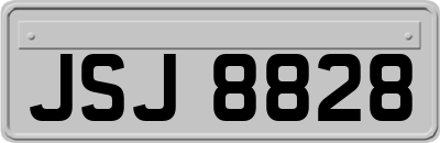 JSJ8828