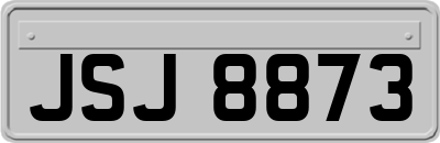 JSJ8873