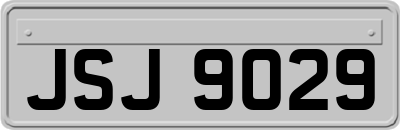 JSJ9029
