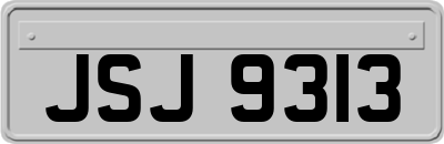 JSJ9313
