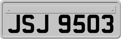 JSJ9503