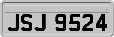 JSJ9524