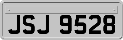 JSJ9528
