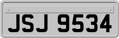 JSJ9534