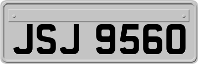 JSJ9560