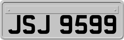 JSJ9599