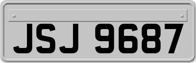 JSJ9687