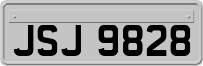JSJ9828