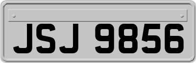 JSJ9856