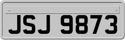 JSJ9873