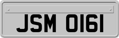 JSM0161