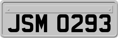 JSM0293