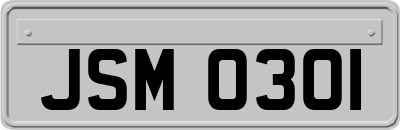 JSM0301