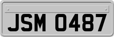 JSM0487